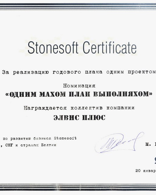 Сертификат от компании Stonesoft «За реализацию годового плана одним проектом»